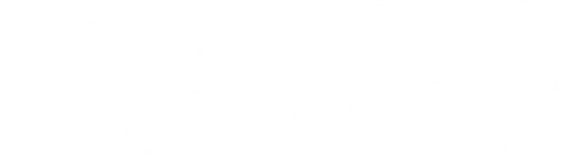 logo ceylan